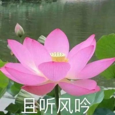 湖北省宜昌市副市长李向东接受审查调查